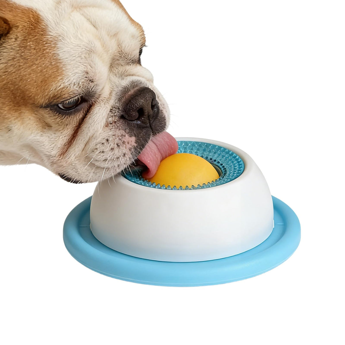 Pet Slow Feeder