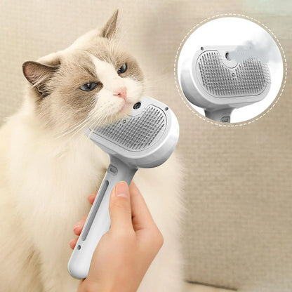 Steam Cleaning Brush