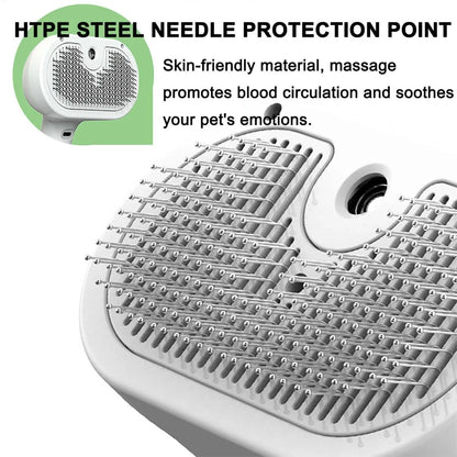 Steam Cleaning Brush