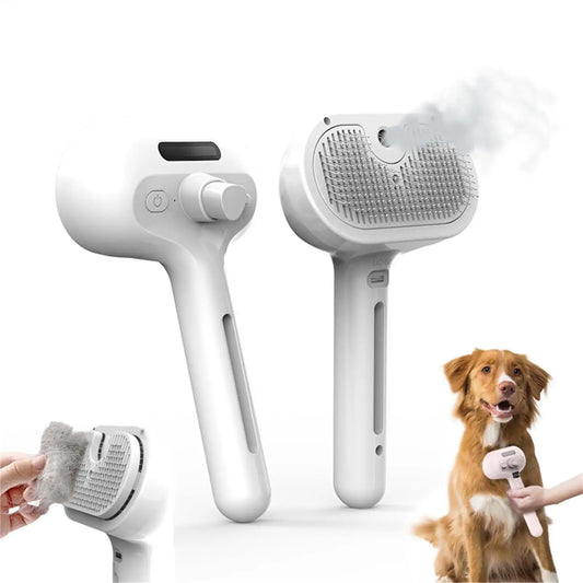 Steam Cleaning Brush